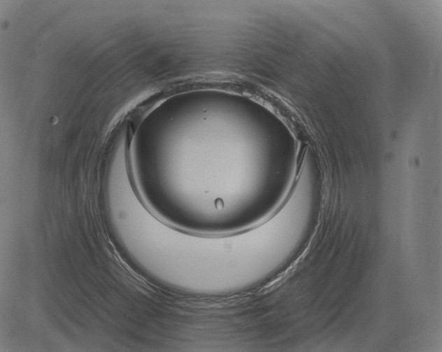 X0000083061402200702161745