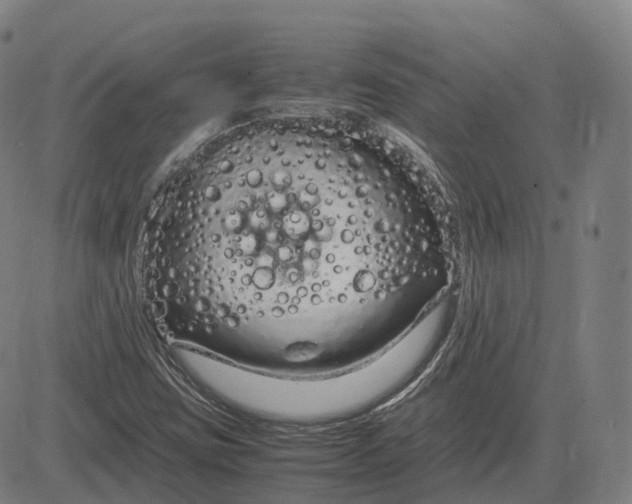 X0000083061403200702161745