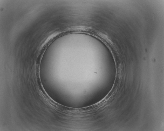 X0000083061404200702161745