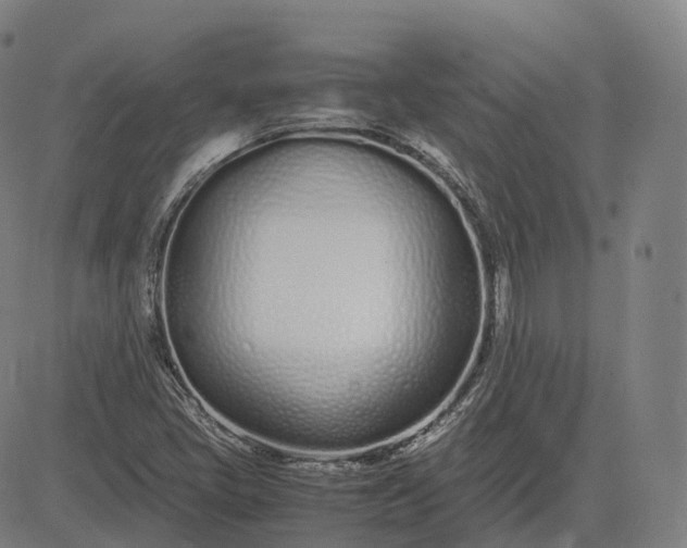 X0000083061405200702161745