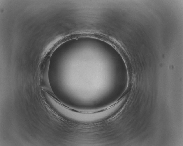 X0000083061406200702161745