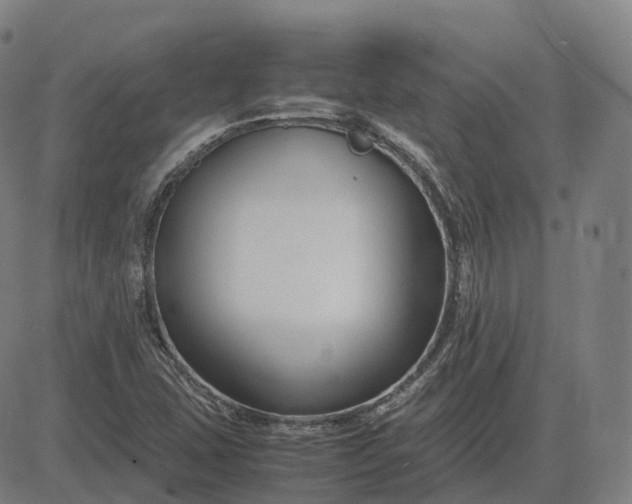 X0000083061407200702161745