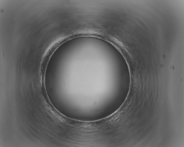 X0000083061408200702161745