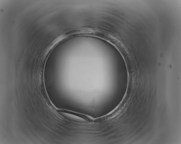 X0000083061409200702161745