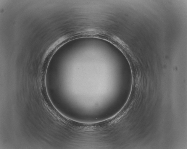 X0000083061410200702161745