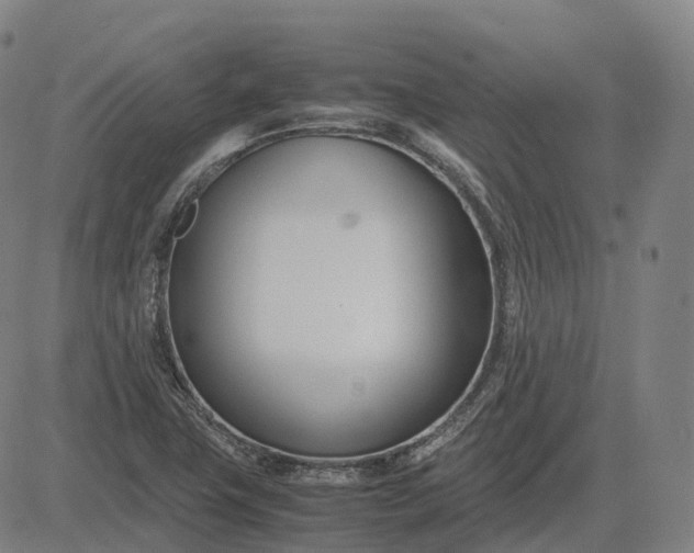 X0000083061411200702161745