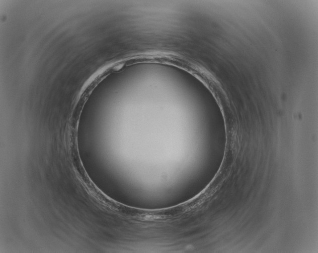 X0000083061412200702161745