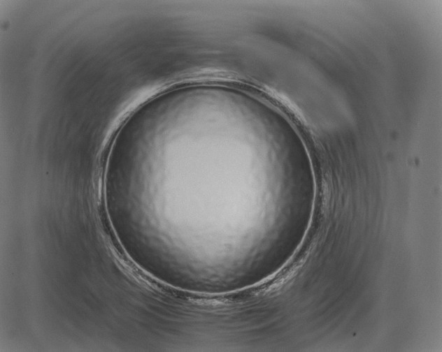 X0000083061413200702161745