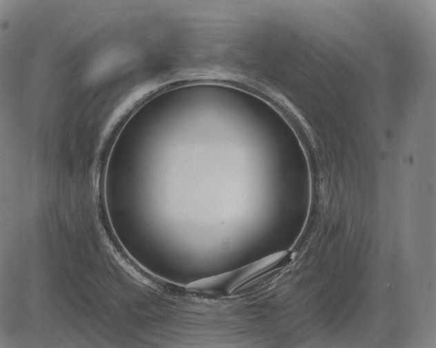 X0000083061416200702161745