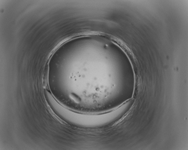 X0000083061417200702161745