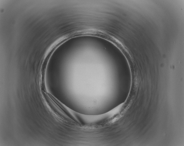 X0000083061418200702161745