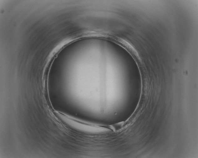 X0000083061419200702161745