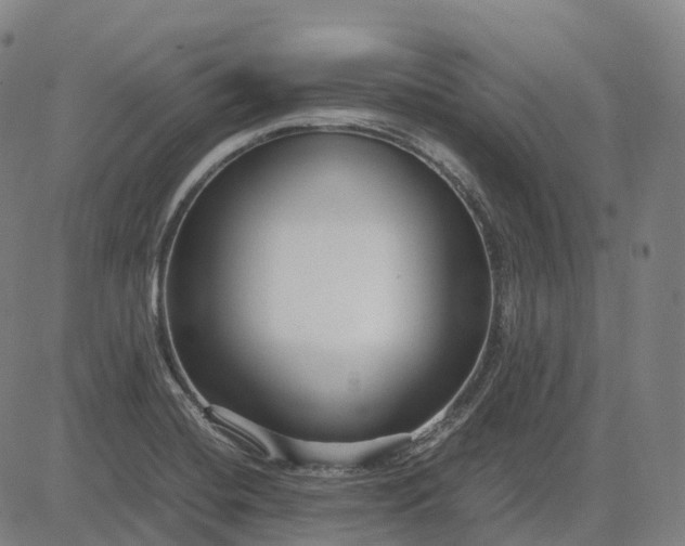 X0000083061420200702161745