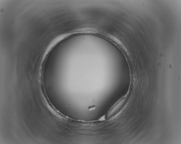 X0000083061421200702161745