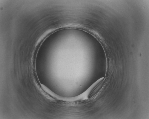 X0000083061422200702161745