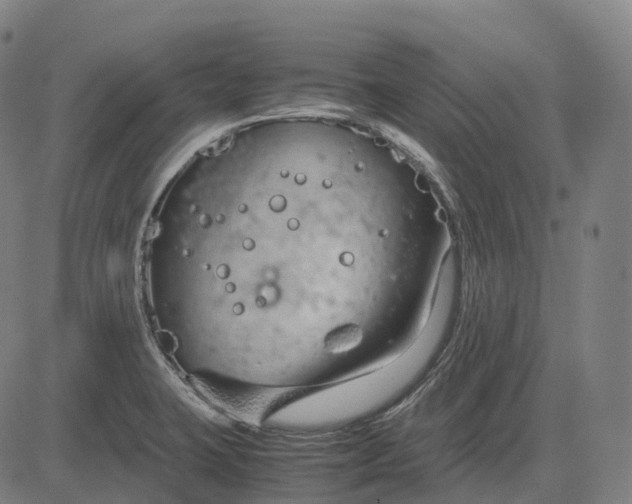 X0000083061423200702161745