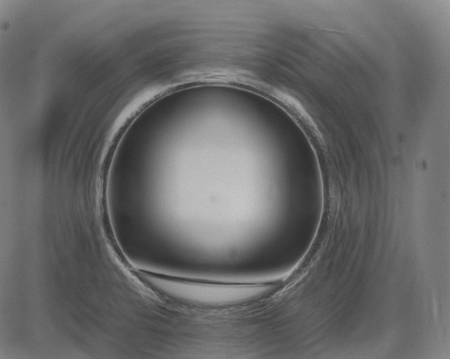 X0000083061424200702161745