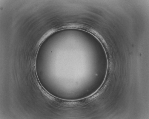 X0000083061425200702161745