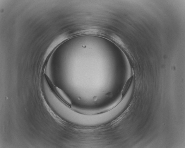 X0000083061426200702161745