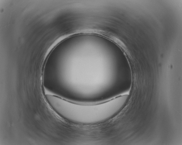 X0000083061428200702161745