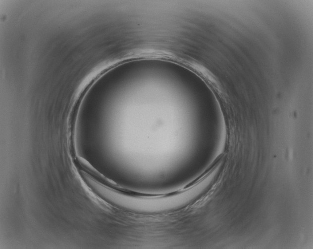 X0000083061430200702161745