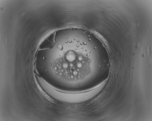 X0000083061431200702161745