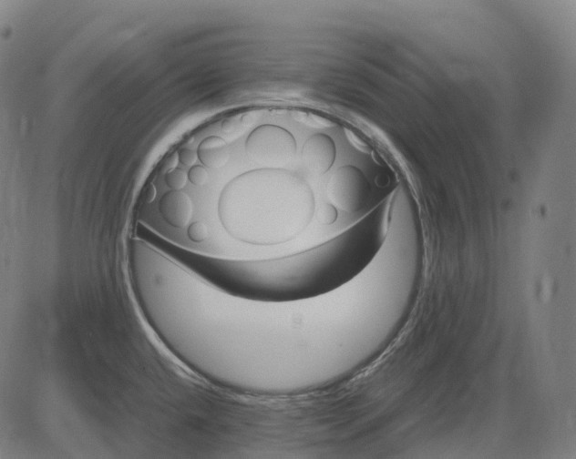 X0000083061432200702161745