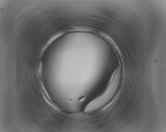 X0000083061433200702161745