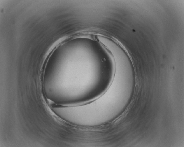 X0000083061434200702161745