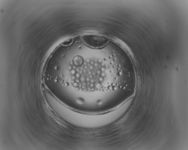 X0000083061435200702161745