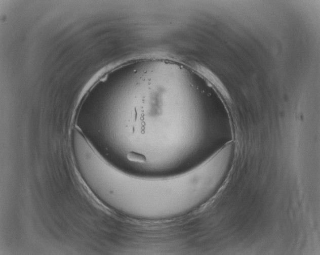 X0000083061436200702161745