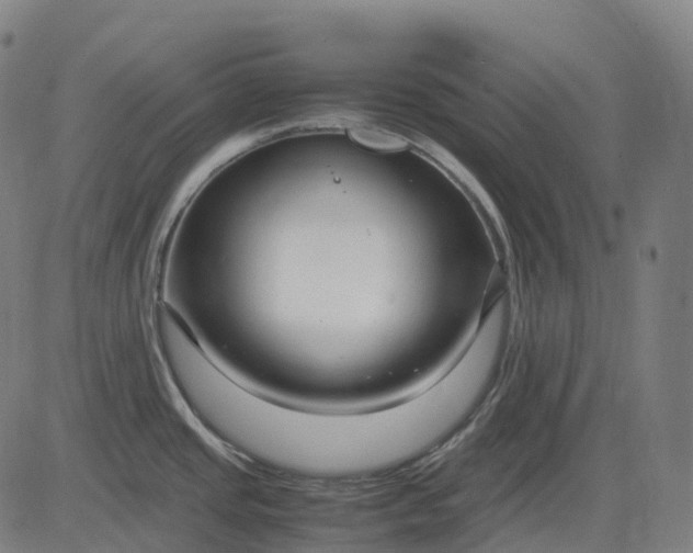 X0000083061437200702161745