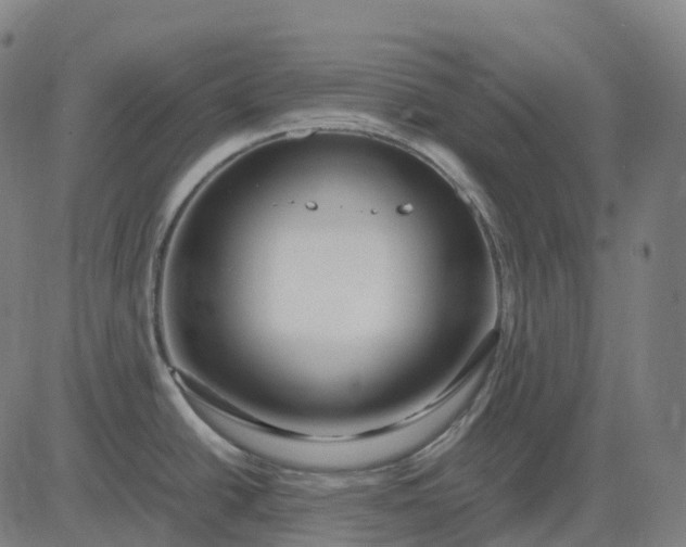 X0000083061438200702161745