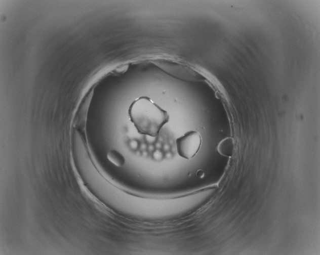 X0000083061439200702161745