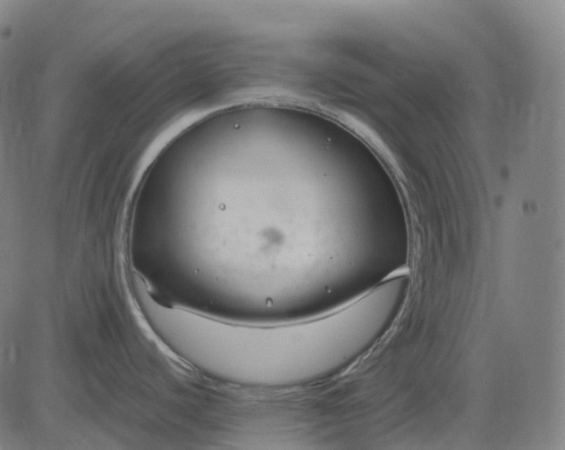 X0000083061440200702161745