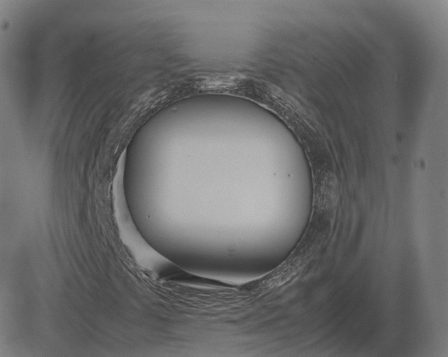 X0000083061441200702161745