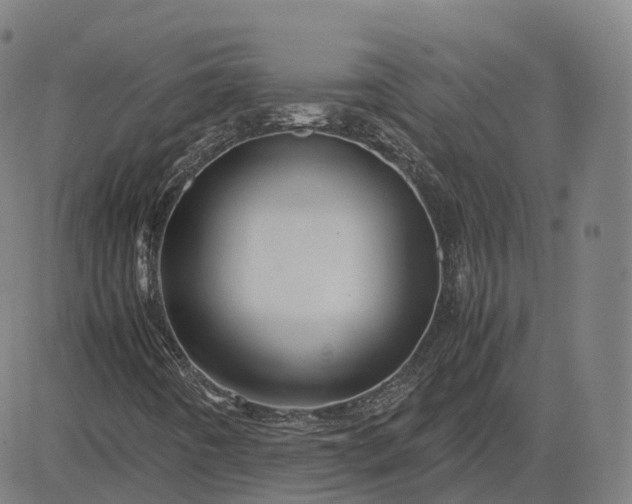 X0000083061442200702161745