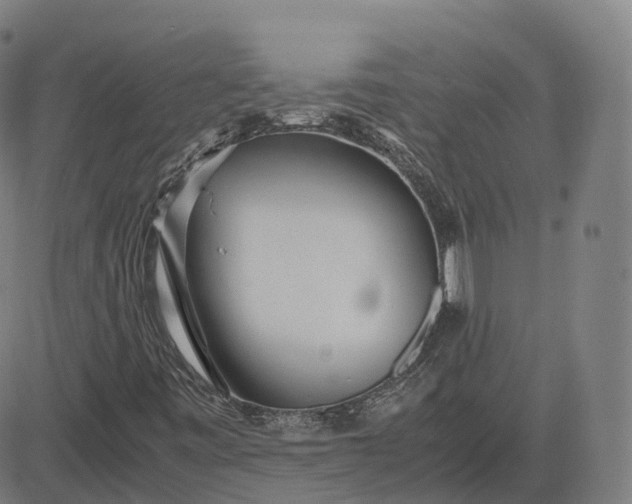 X0000083061443200702161745