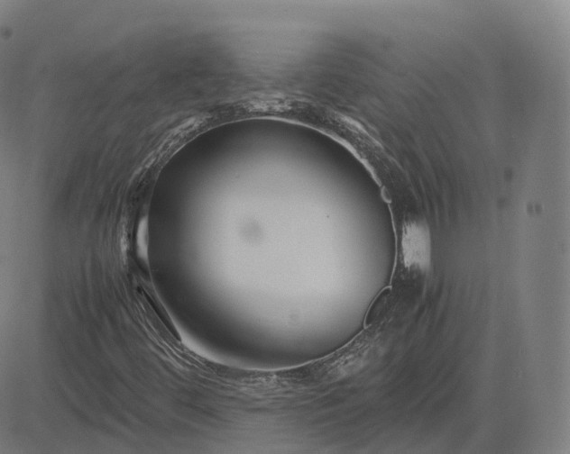 X0000083061444200702161745