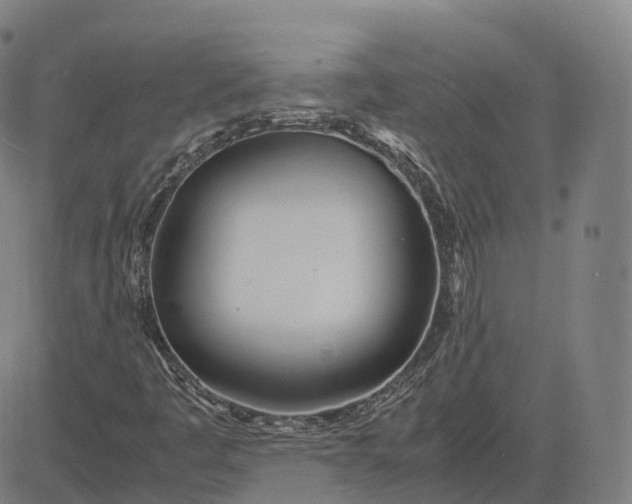 X0000083061445200702161745