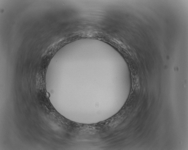 X0000083061446200702161745