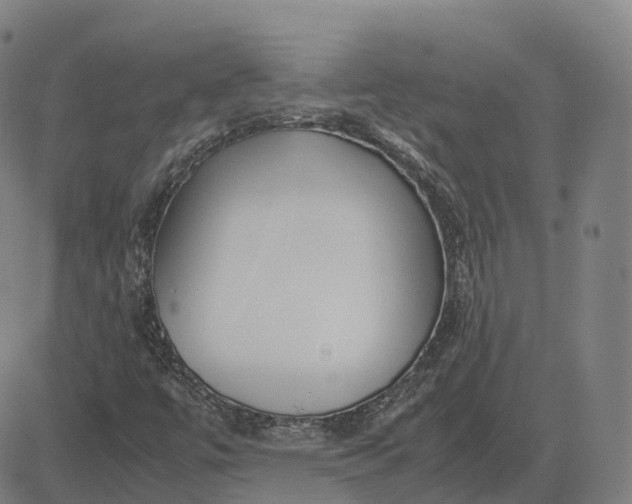 X0000083061447200702161745