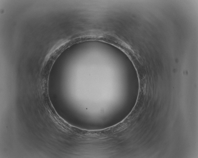 X0000083061448200702161744