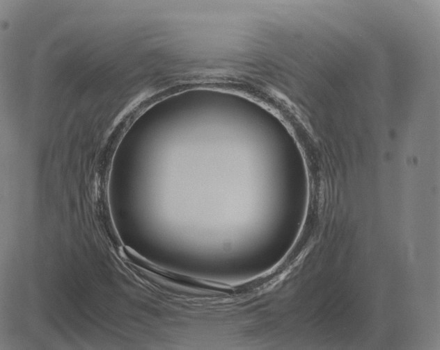 X0000083061449200702161744