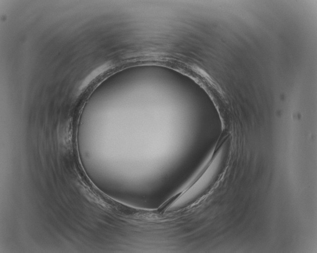 X0000083061450200702161744