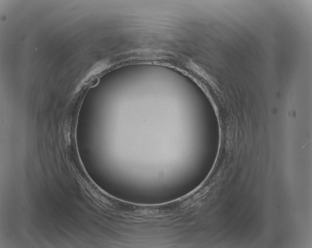 X0000083061451200702161744