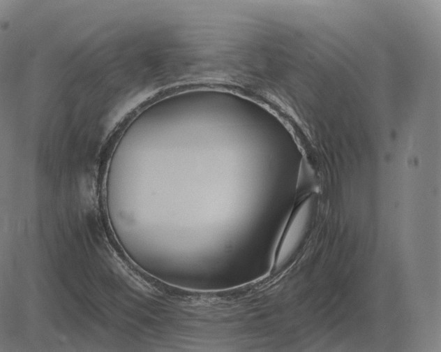 X0000083061452200702161744