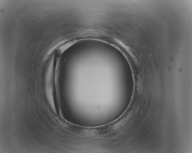 X0000083061453200702161744