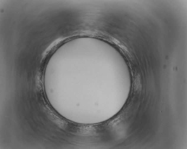 X0000083061454200702161744