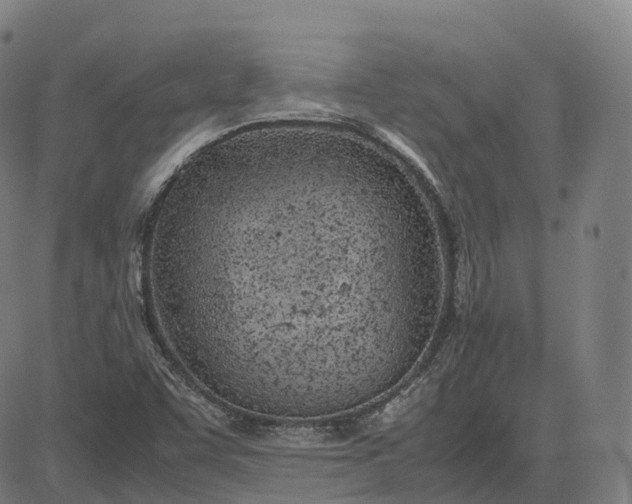 X0000083061455200702161744